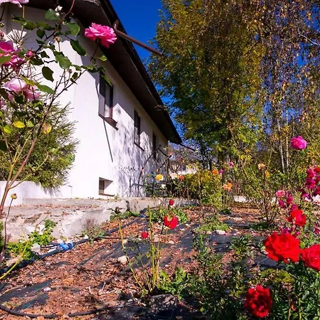 Villa Casa Din