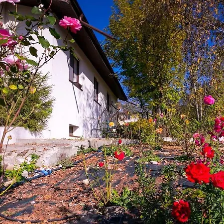 Casa Din